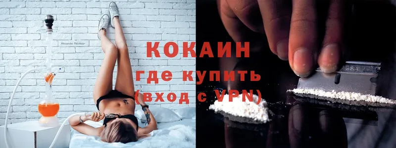 COCAIN Fish Scale  где продают   Гурьевск 